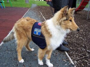 ESA dog