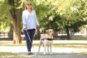 ESA dog with a blind lady