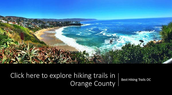 National Trails Day: Top Hiking Trails In Riverside, CA 1 Click here to explore hiking trails in Newport Beach, Orange County