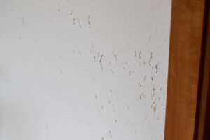 How to Identify Pet Damage in Your Rental Property 2 pet scratches on wall