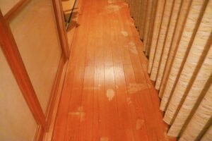 How to Identify Pet Damage in Your Rental Property 5 pet urine stains